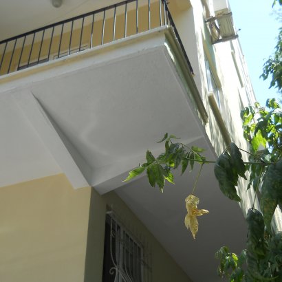 Çam Apartmanı - İstanbul